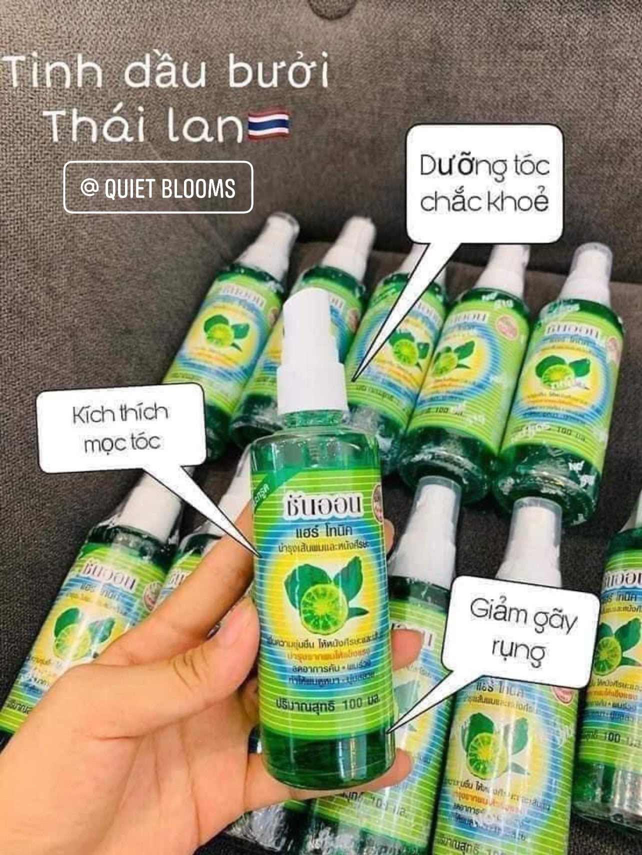 Grapefruit Oil Hair Spray Made In Thailand Xịt Bưởi