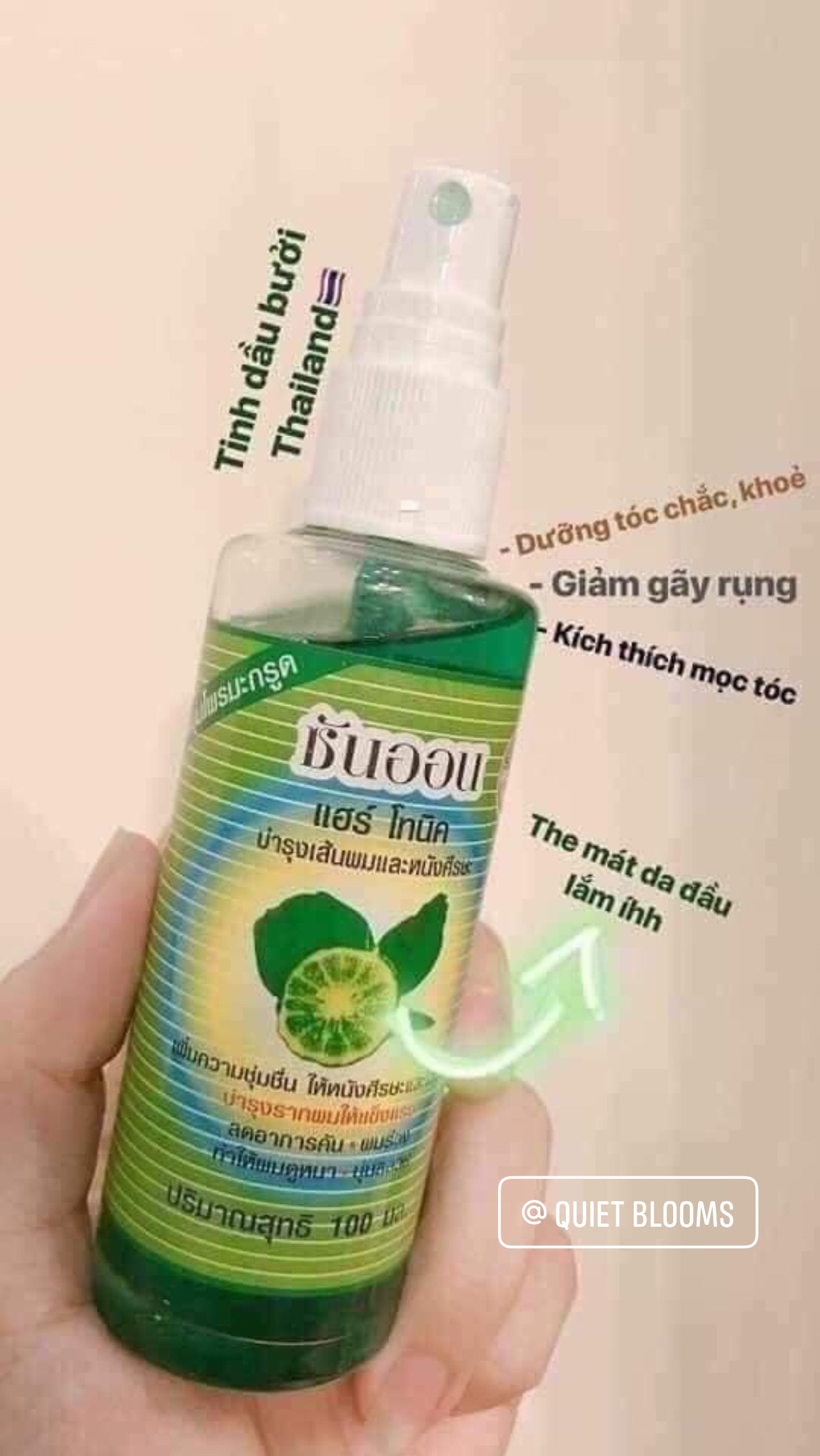 Grapefruit Oil Hair Spray Made In Thailand Xịt Bưởi